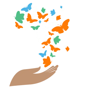 The Orange Social Venture Prize in Africa and the Middle East (OSVP)