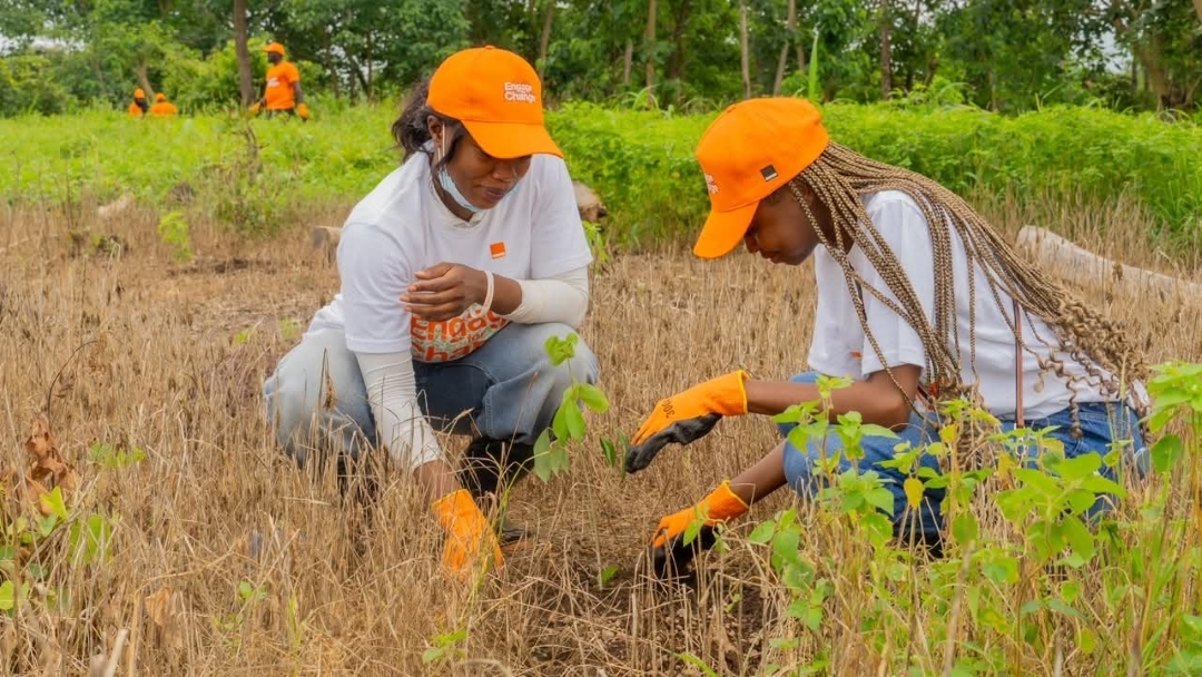 Orange Guinée a mobilisé 100 collaborateurs pour une action bénévole de reboisement à Forécariah