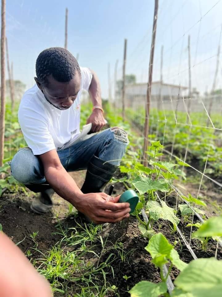 Wungko’s Farm  &  Orange Digital Center launches 5 months youth agripreneurship training program