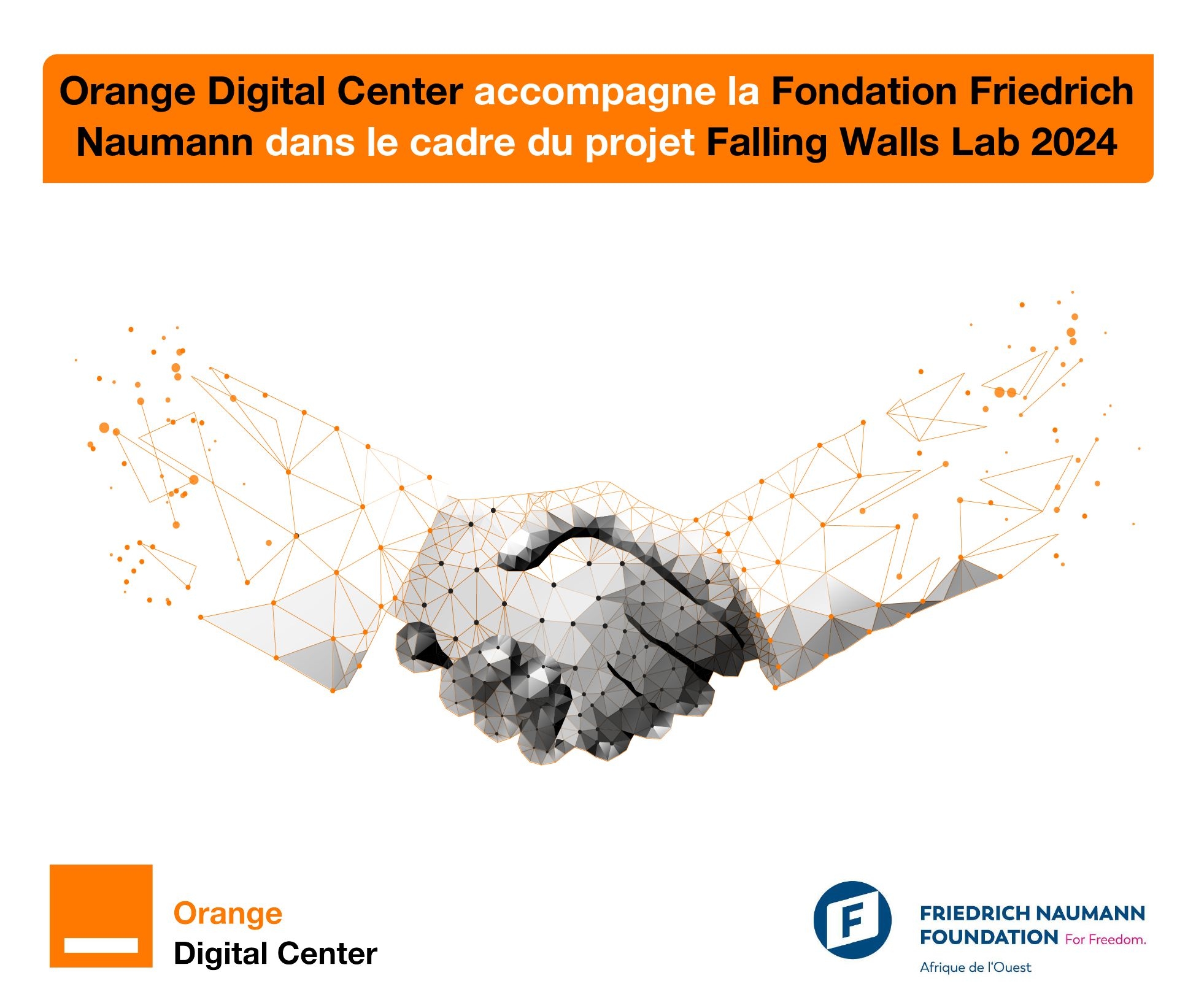 ODC-MALI ACCOMPAGNE LA FONDATION FRIEDRICH NAUMANN DANS LE CADRE DU PROJET FALLING WALLS LAB 2024