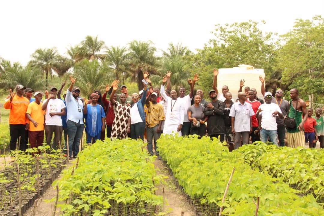 Journée mondiale de l’environnement : Orange Guinée et Arboria Project préparent une nouvelle campagne de reboisement à Forécariah