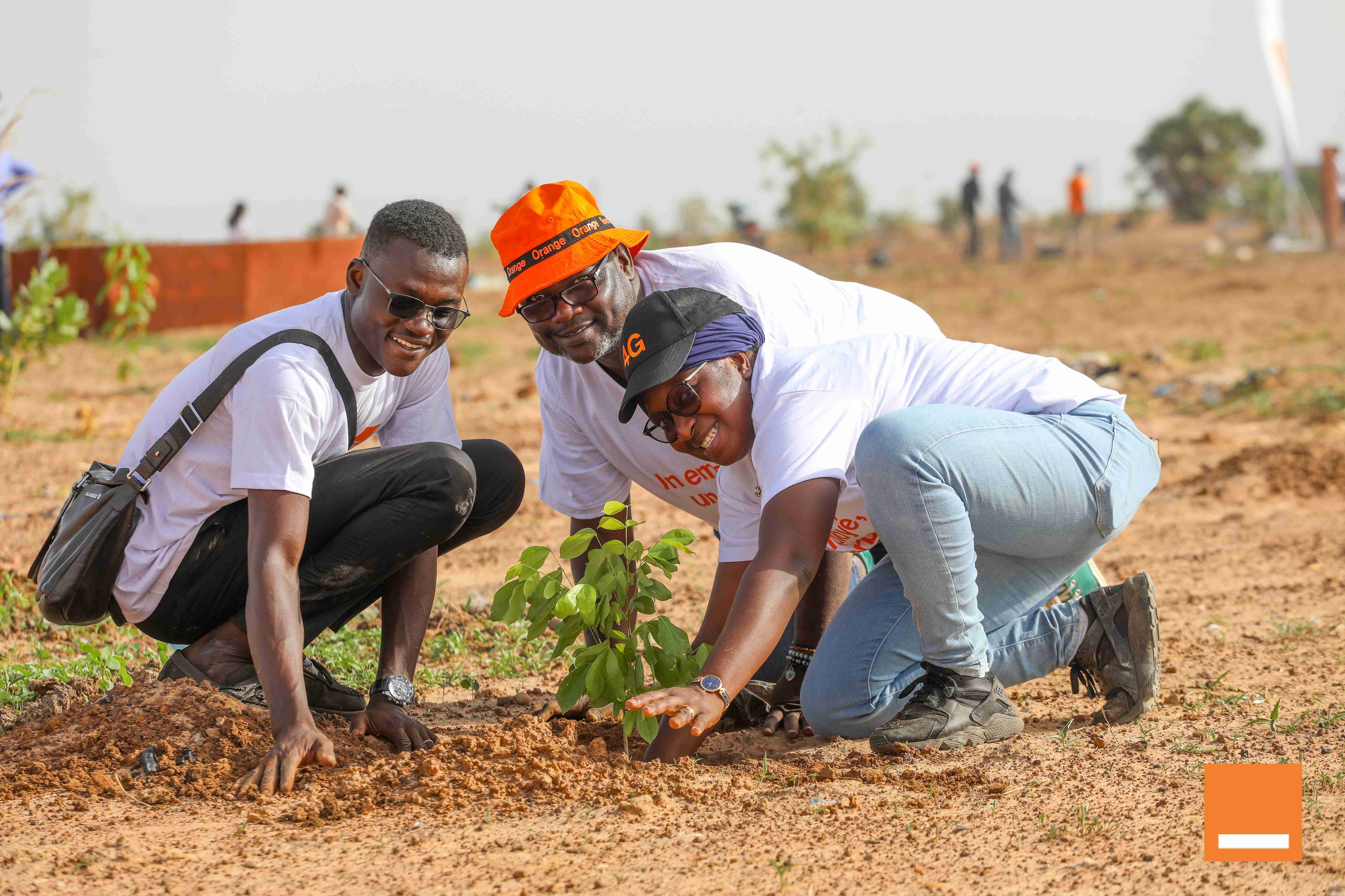 Bosquet Orange « un employé, un arbre »